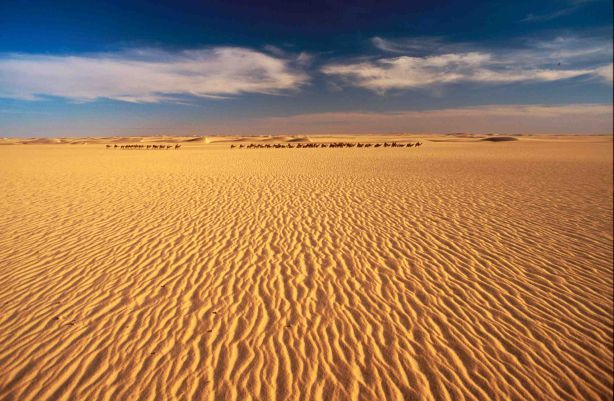 Sahara - TV Ю Rússia - 11 fatos interessantes sobre a novela "O Clone"