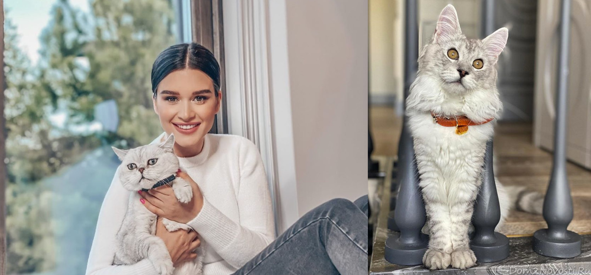 Бородина с котами